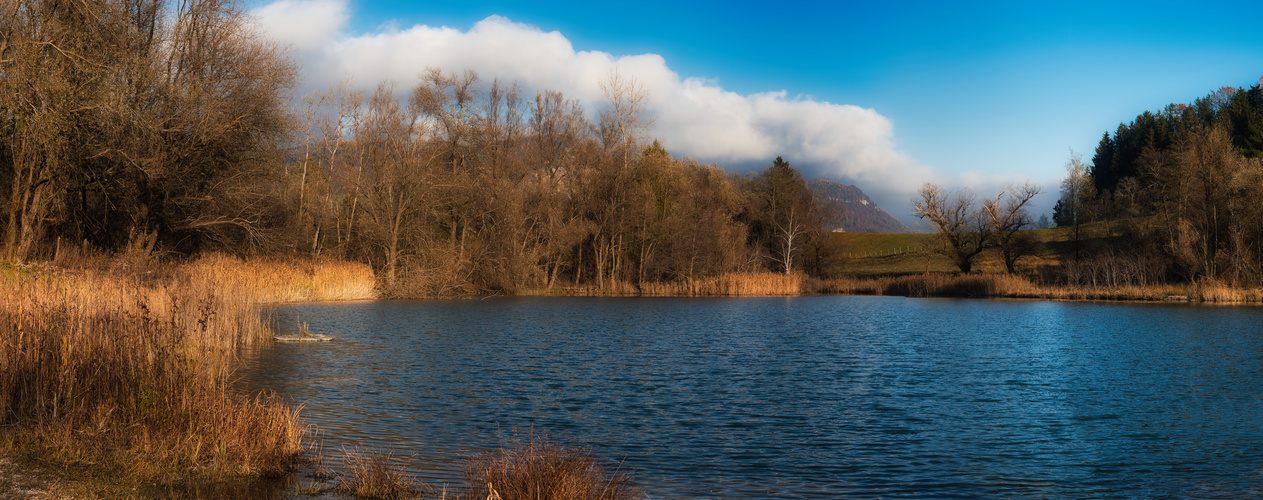 Badeteich in Südkärnten