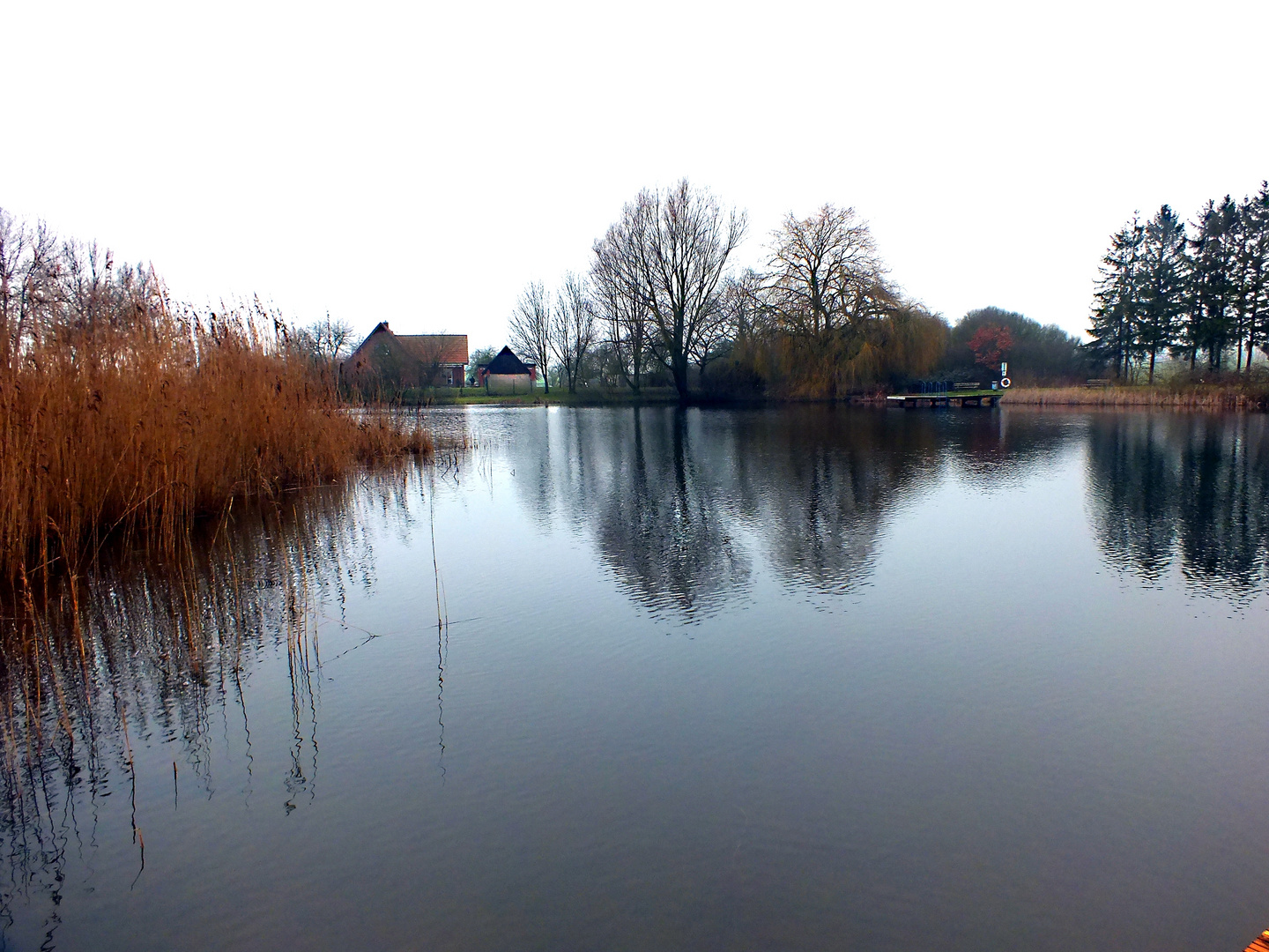 Badeteich in Thandorf