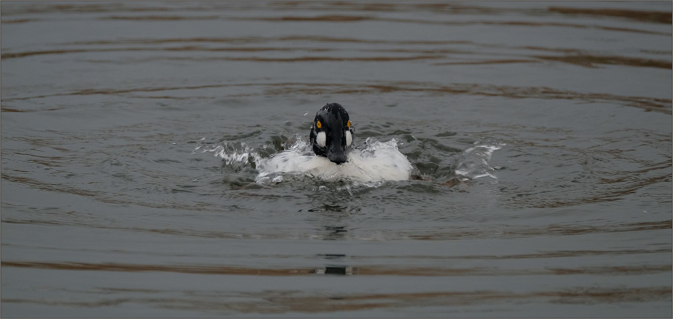 'Badevergnügen'