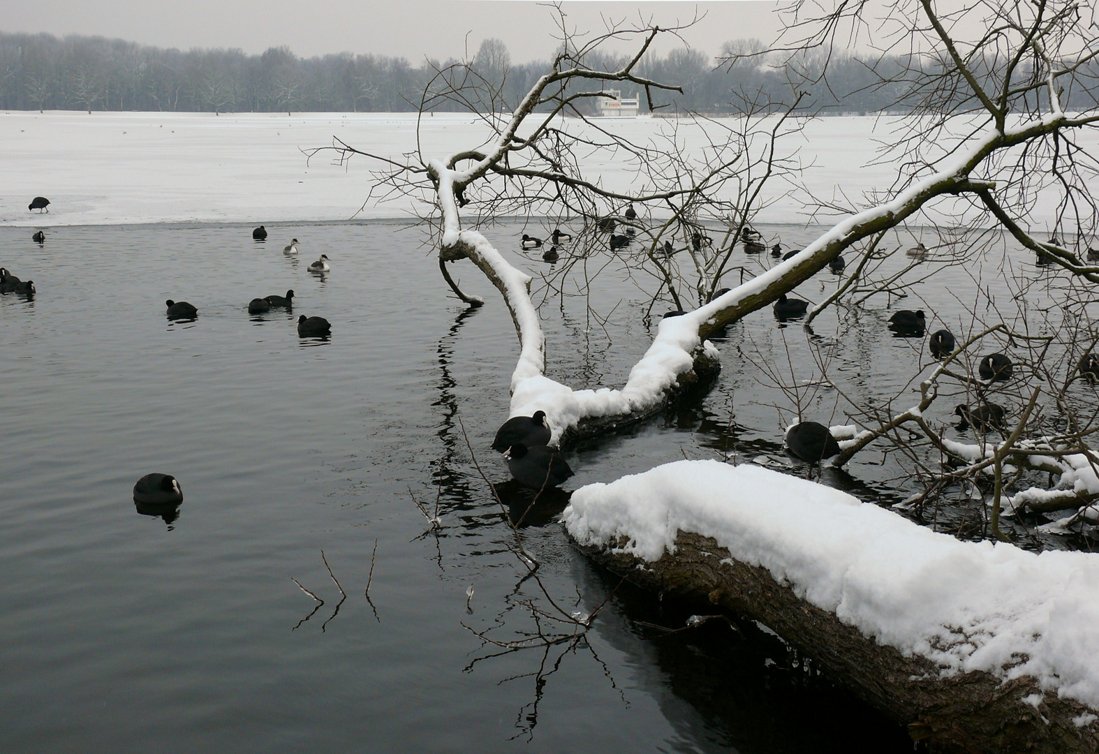 Badewanne am Unisee