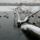 Badewanne am Unisee