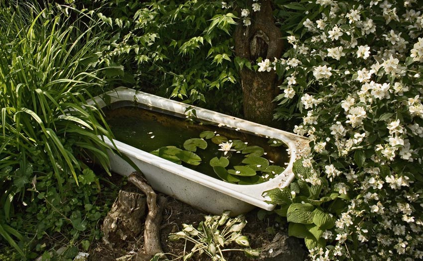 Badewanne in Nachbars Garten Foto & Bild landschaft