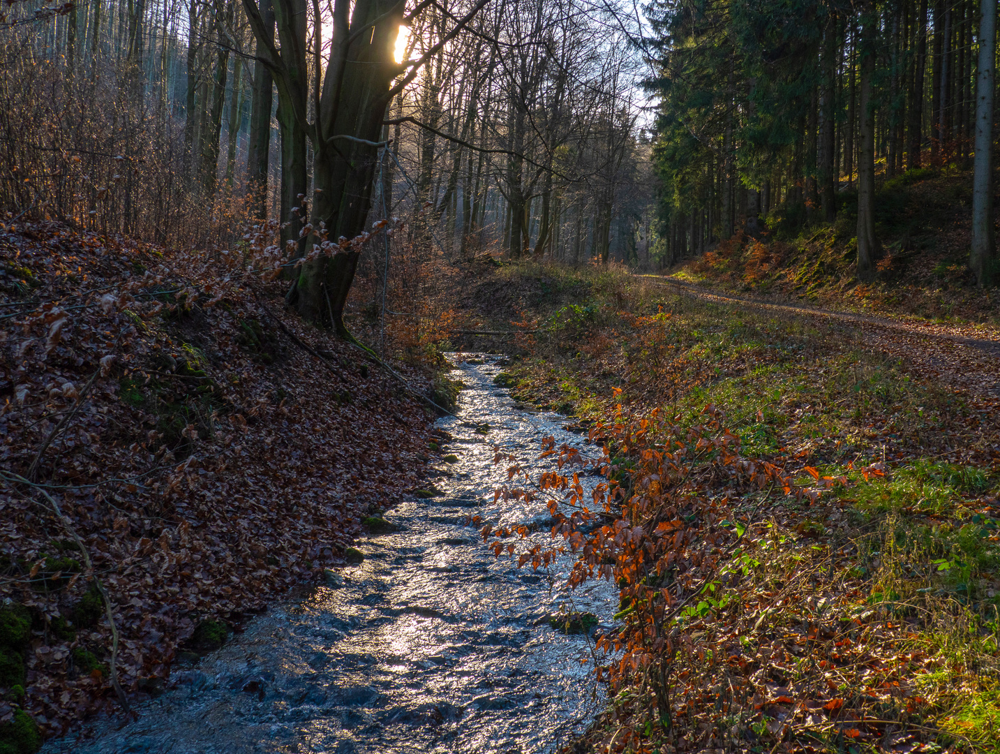 Badewasser im Ungeheuren Grund