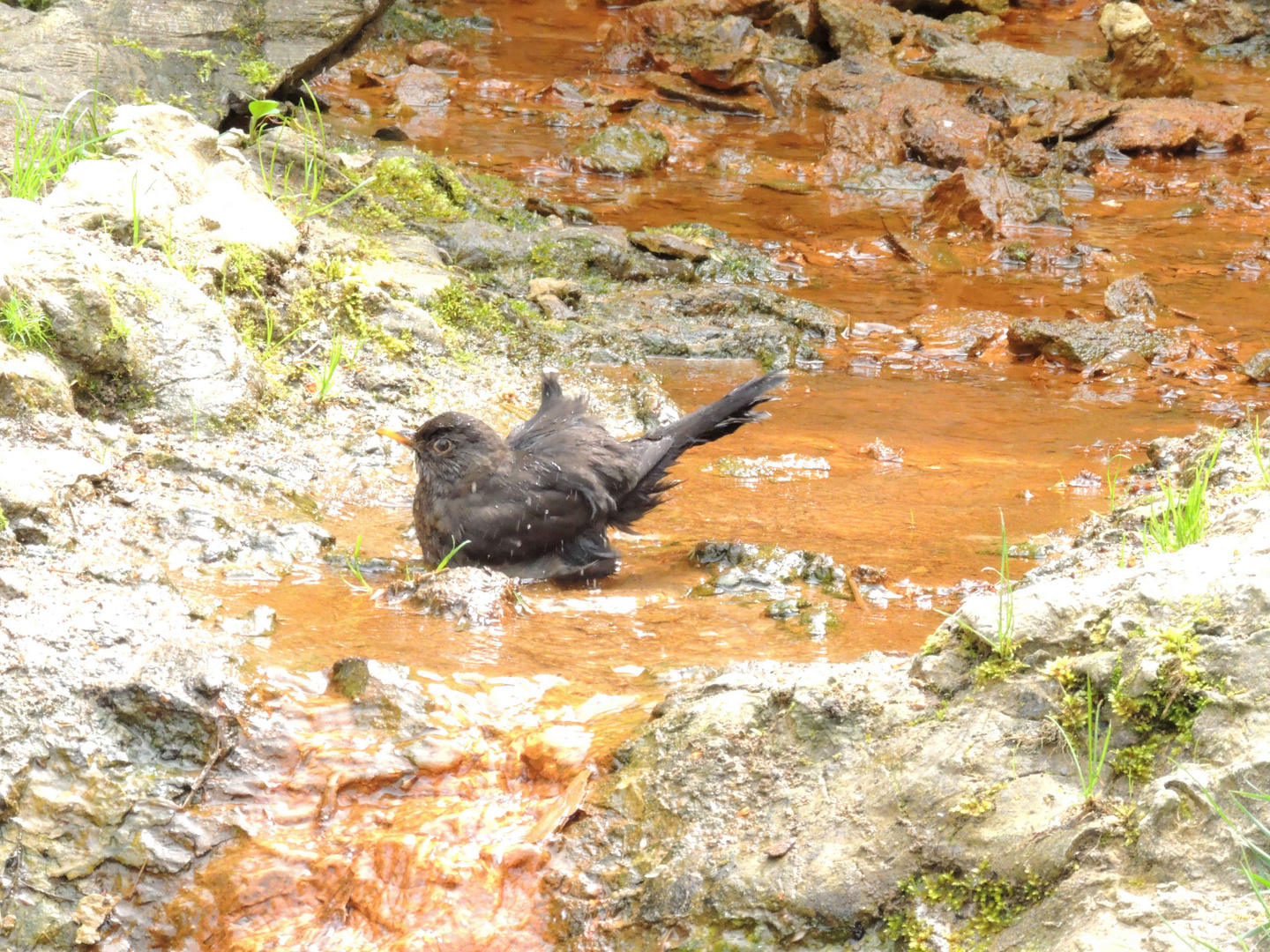 Badewasser ist angerichtet