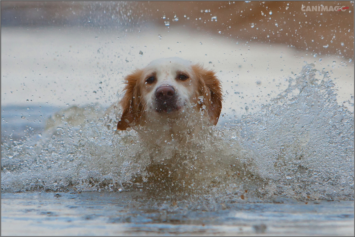 Badewetter...