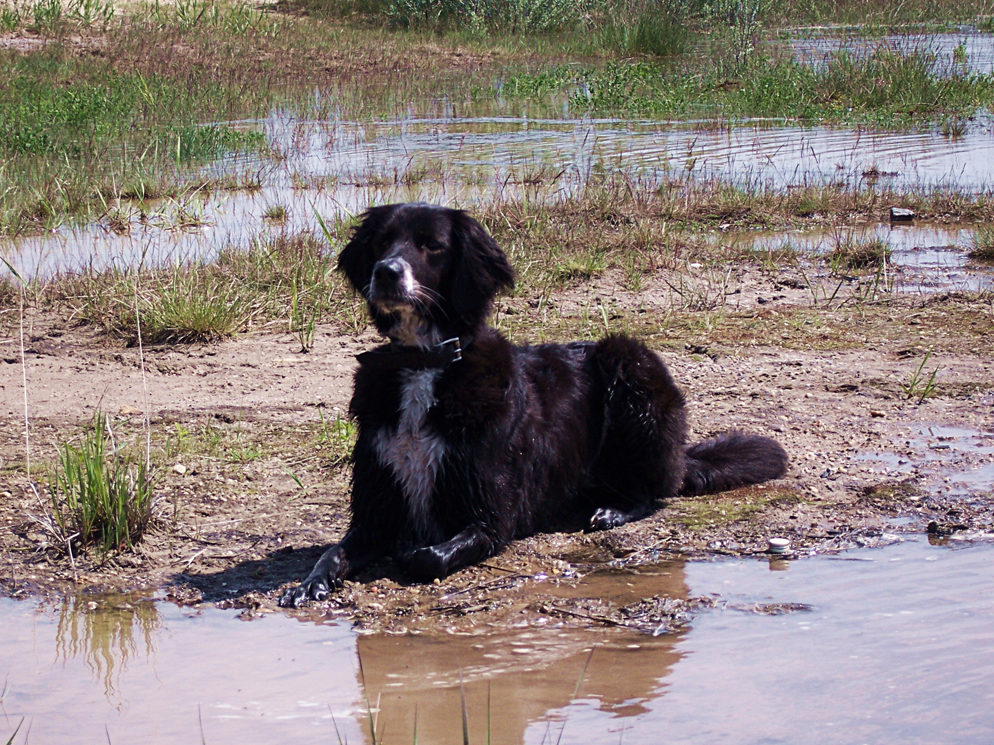 Badewetter