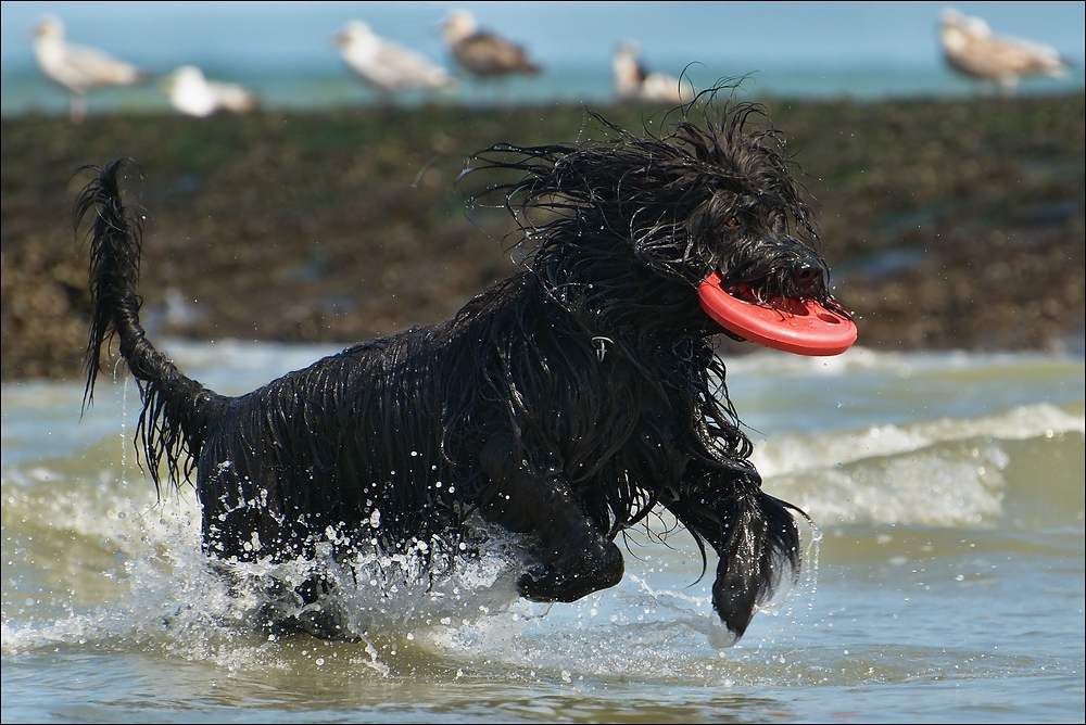 Badewetter....