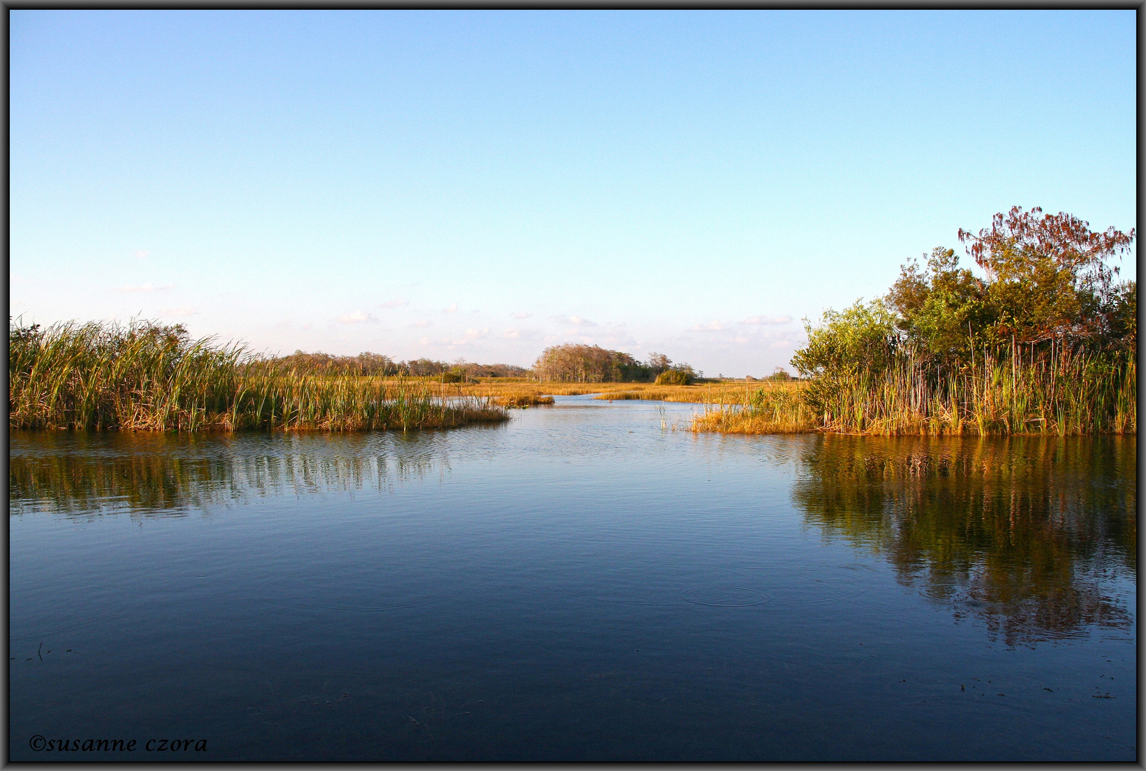 Badewetter in den Everglades