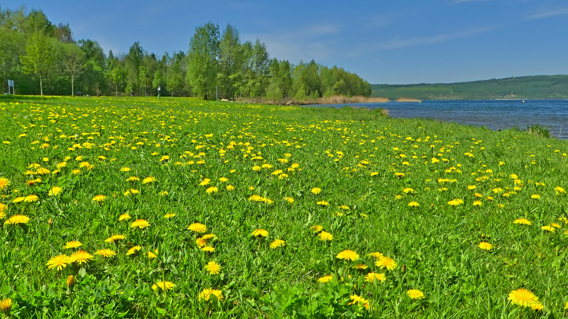 Badewiese am Berzdorfer See bei Görlitz