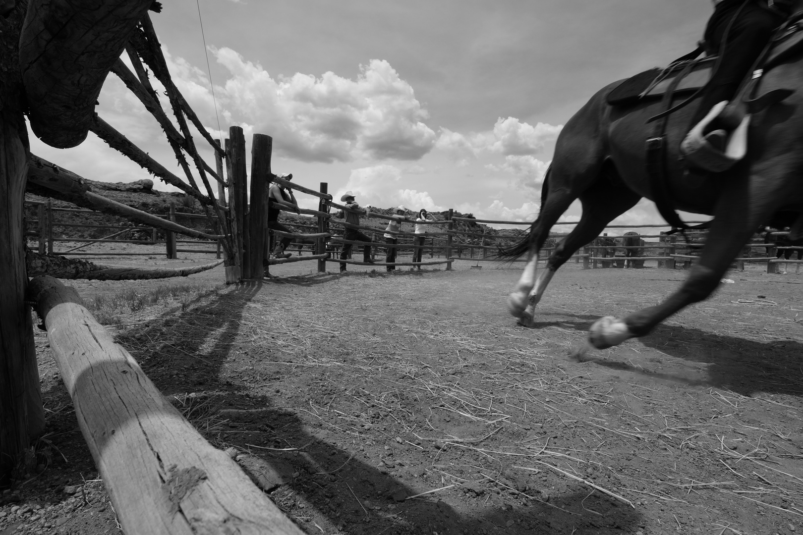 Badger Creek Ranch - im Round-Pen