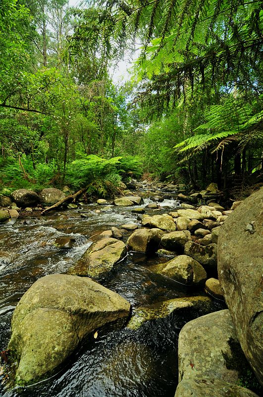 Badger Creek Weir 2 (Victoria, Australia)