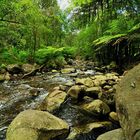 Badger Creek Weir 2 (Victoria, Australia)