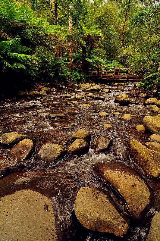 Badger Creek Weir / VICTORIA Australia