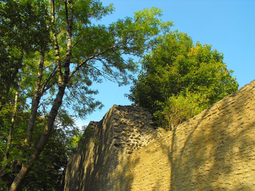 BadHarzburg_Mauer der Harzburg