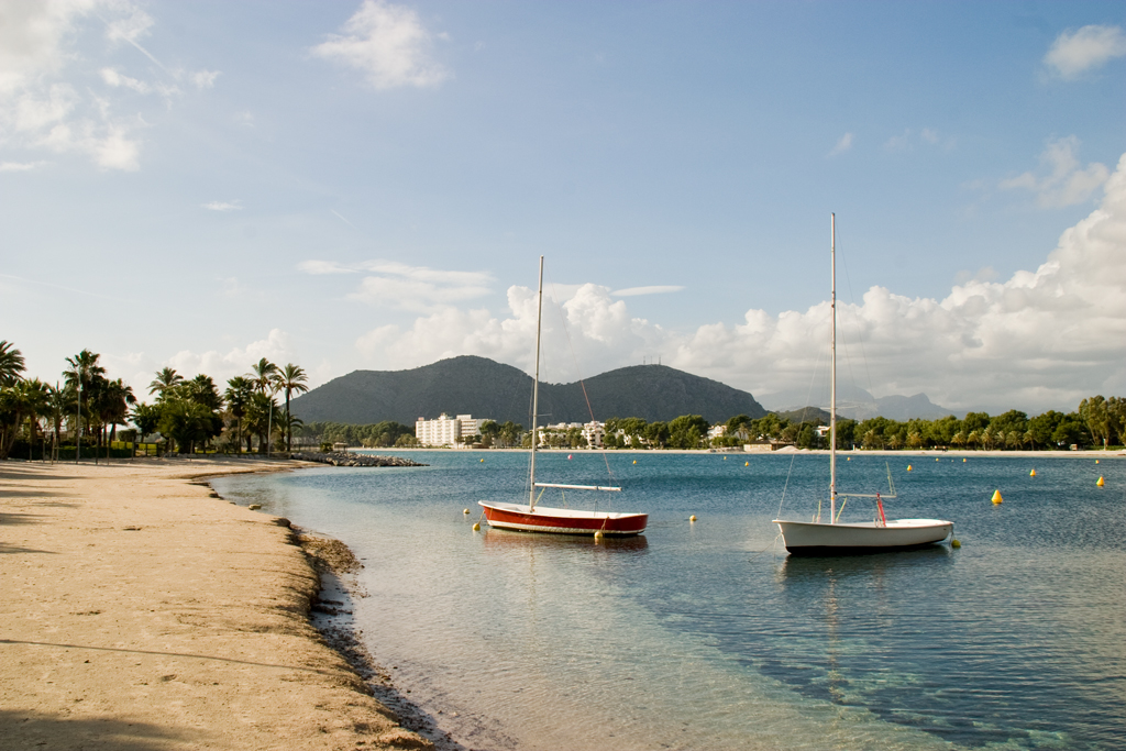 Badia de Alcúdia en la primavera