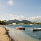 Badia de Alcúdia en la primavera