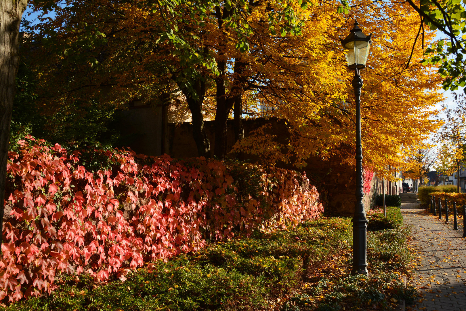 Badische Herbstfarben