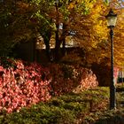 Badische Herbstfarben