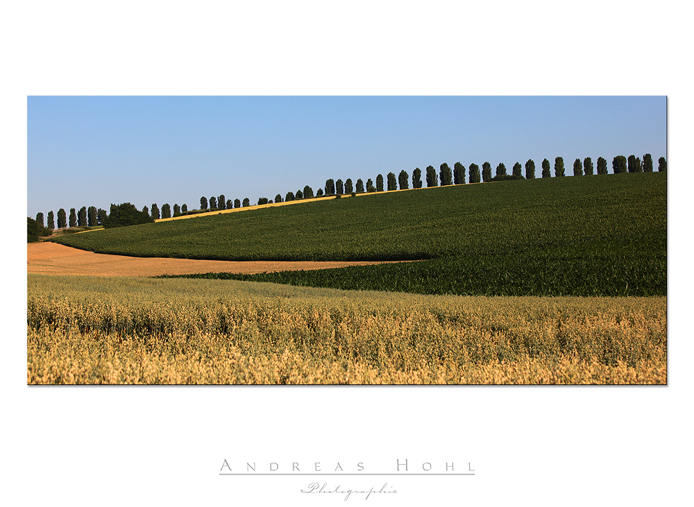 Badische Toscana