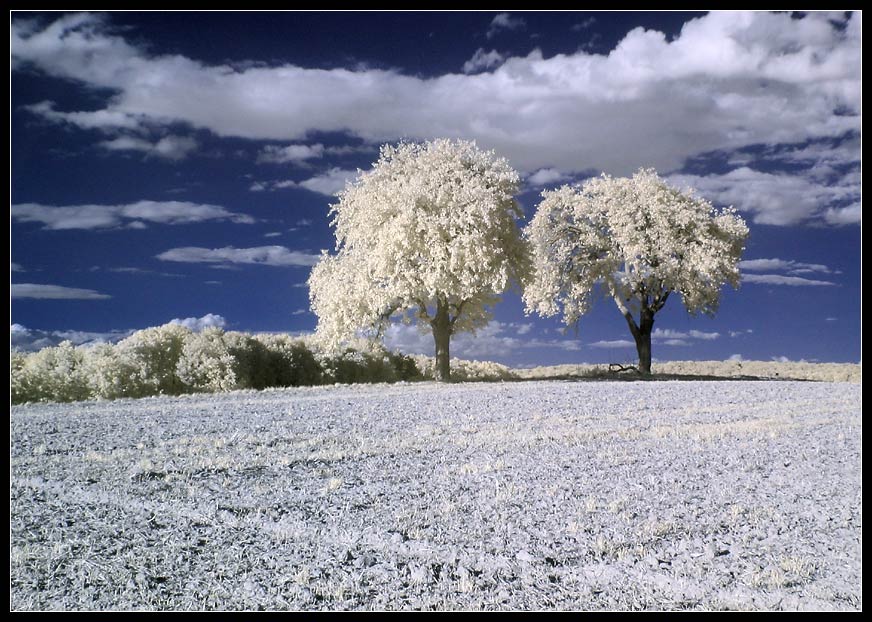 'badische' Toskana in IR