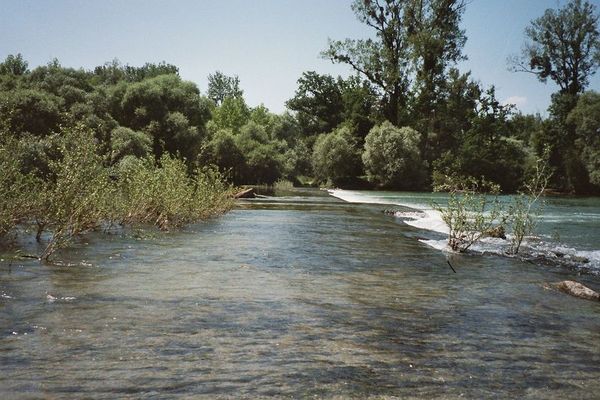 Badischer Dschungel (Teil 3)