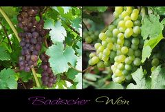 Badischer Wein