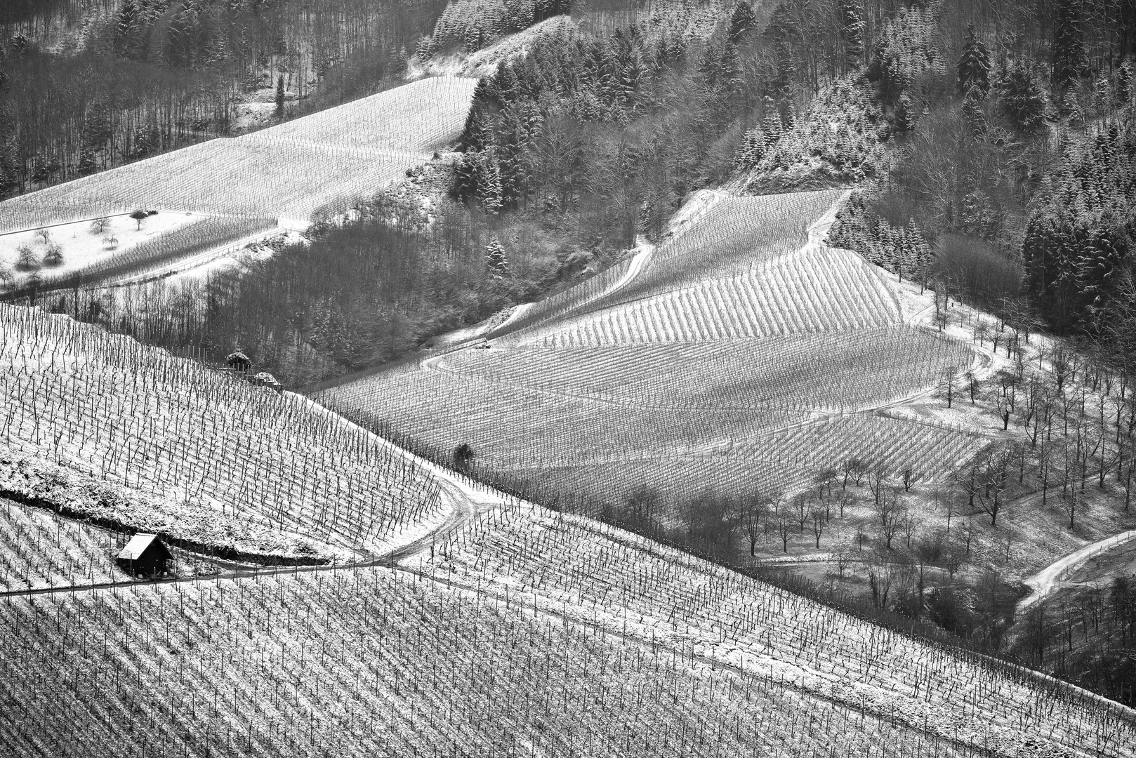 Badischer Wein