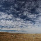 Badland bei Medicine Hat - Alberta / Kanada