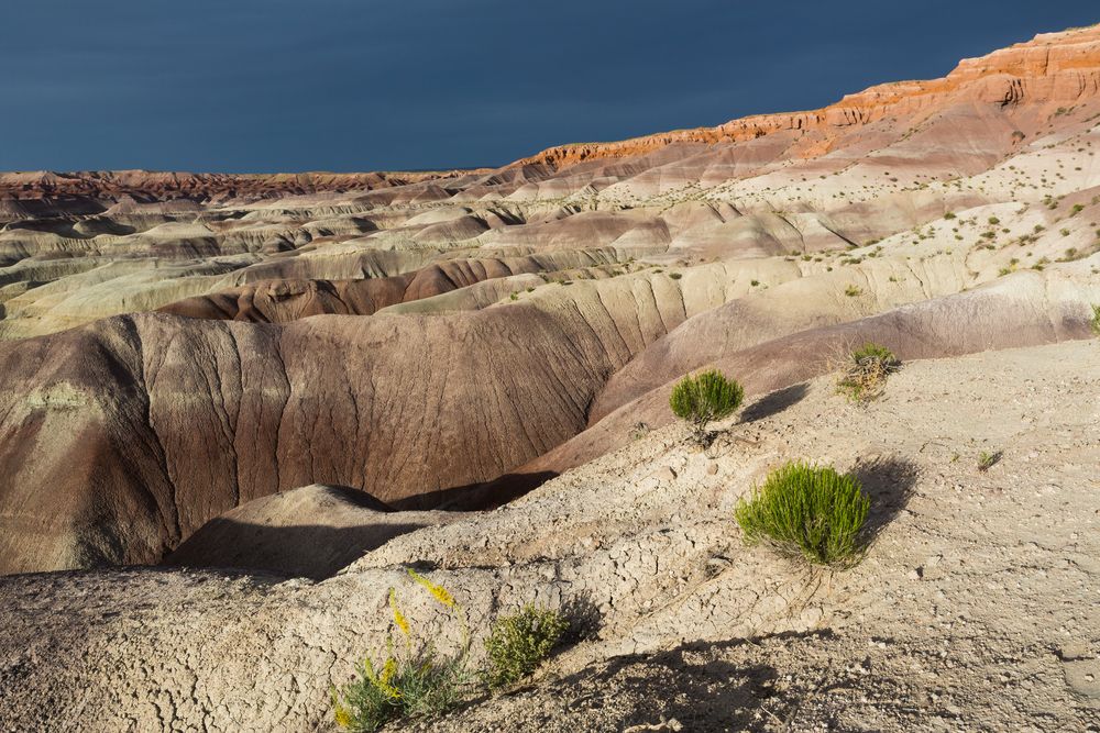 Badlands