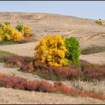 badlands colors