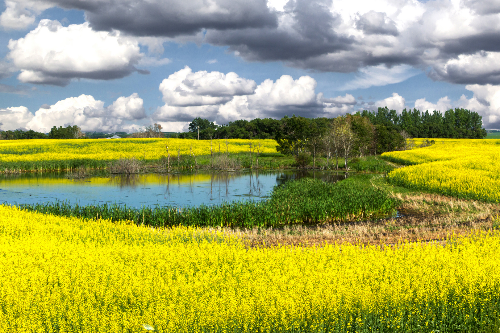 Badlands in Saskatchewan, Kanada