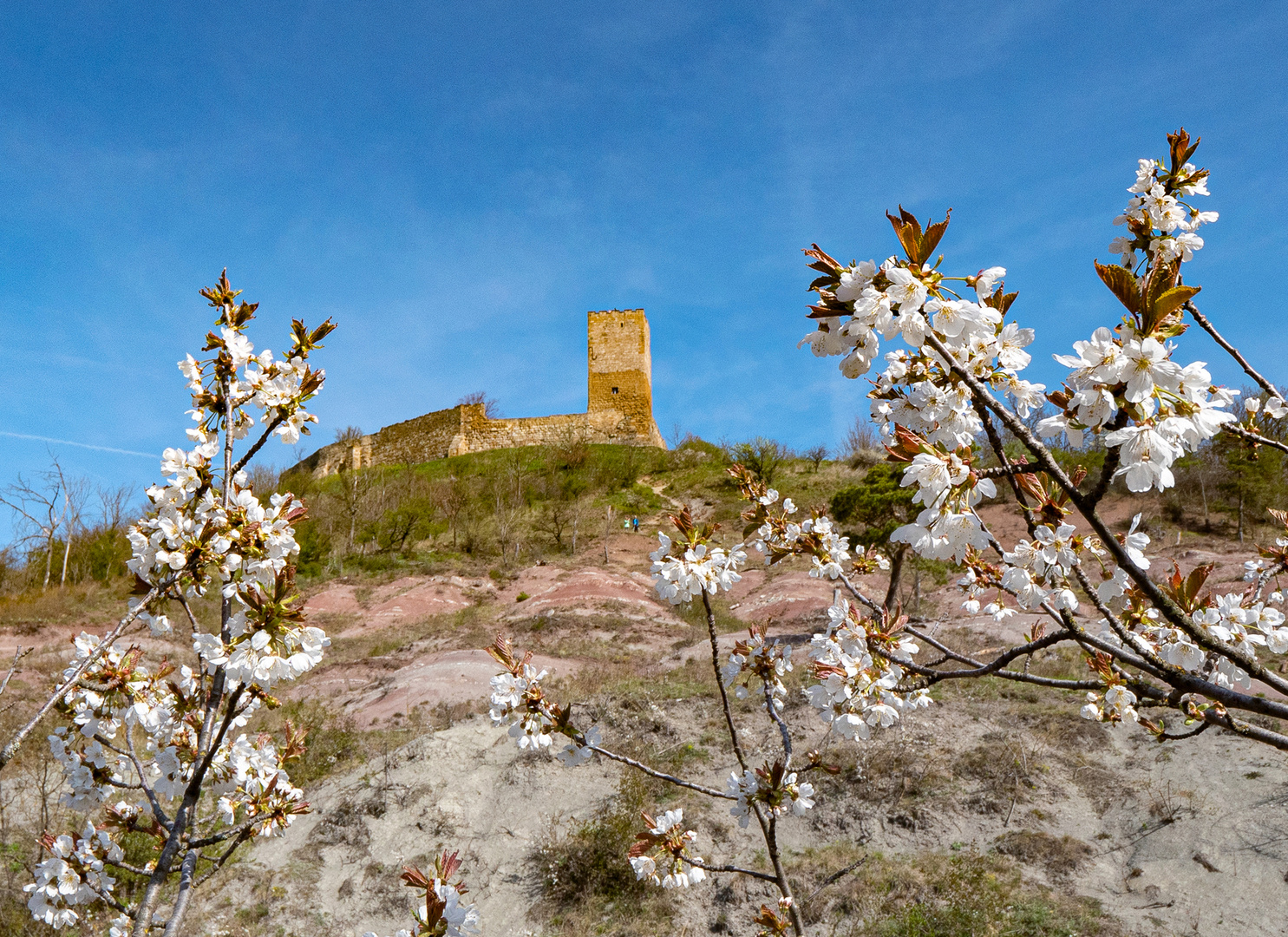 Badlands, Kirschblüte, Burg Gleichen