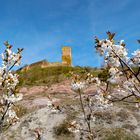 Badlands, Kirschblüte, Burg Gleichen