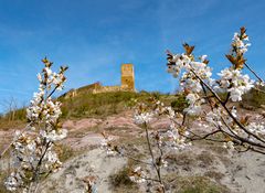 Badlands, Kirschblüte, Burg Gleichen