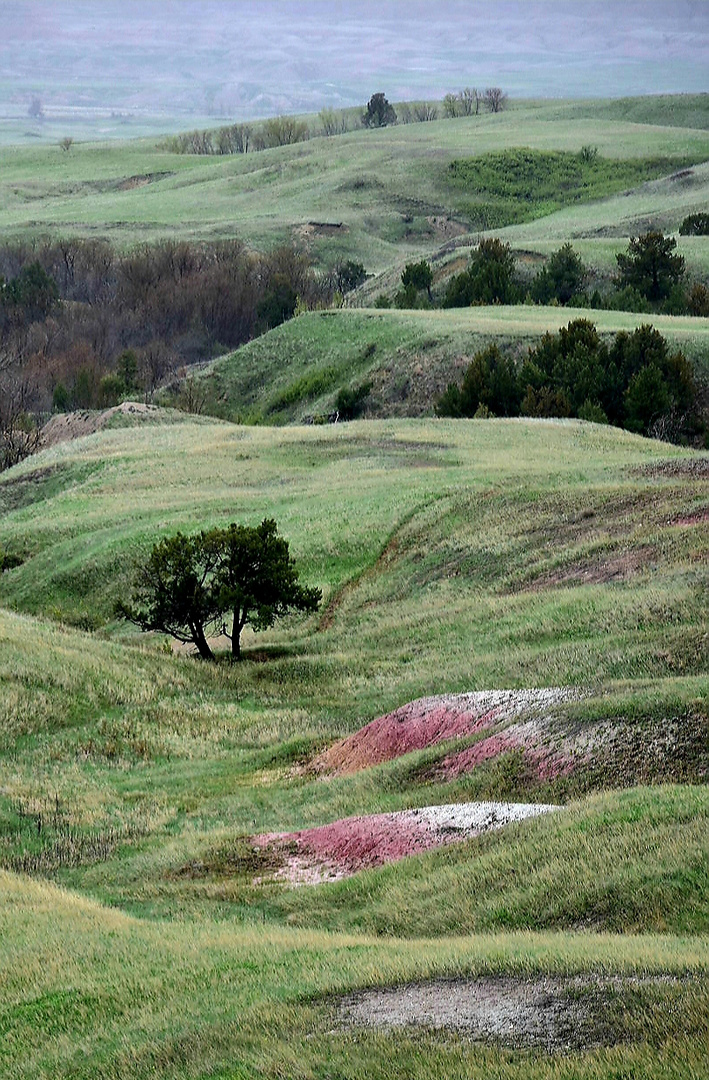 Badlands Nationalpark, USA