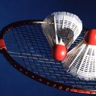  Badminton