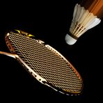Badminton - Den Moment eingefangen -