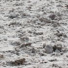 Badwater, Death Valley National Park, California