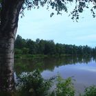 Badweiher am Campingplatz