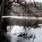 "Badweiher - ein bisschen Eis"