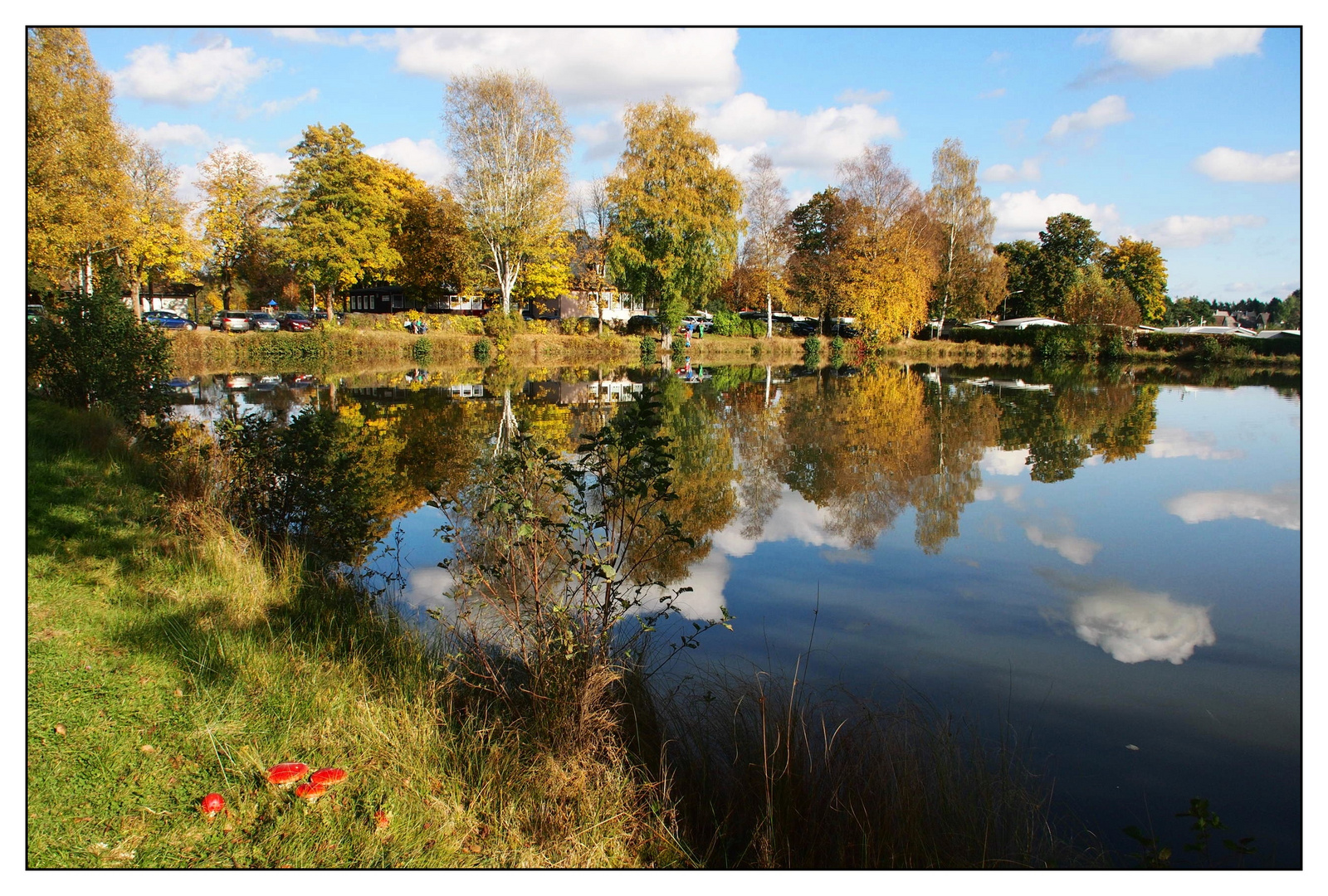 Badweiher mit Spiegelung