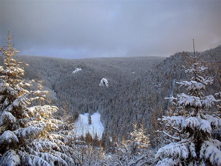 Bächerstein bei Zella-Mehlis