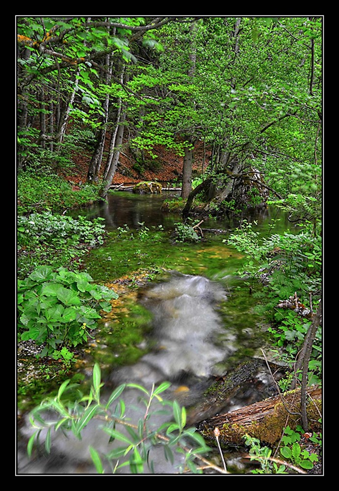 Bächle am Leopoldsteinersee