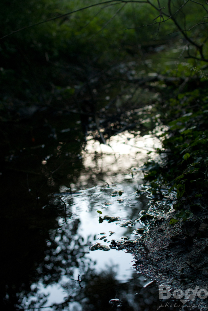 Bächlein am Abend