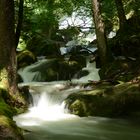 Bächlein am Brienzersee