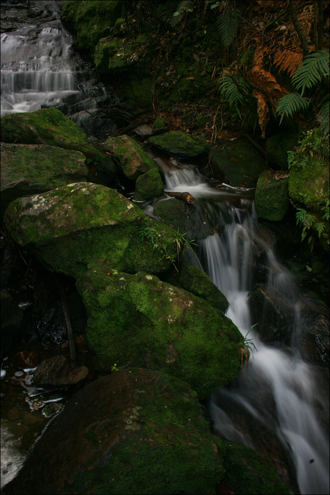 Bächlein auf dem Weg zur West Coast 2