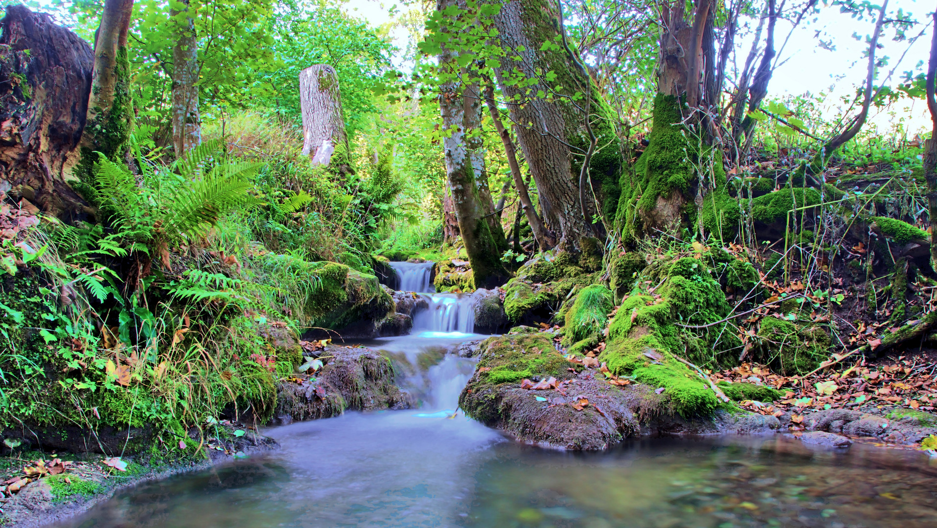 Bächlein bei Urach