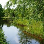 Bächlein im Botanischen Garten