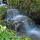 Bächlein im Frühling