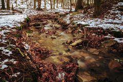 Bächlein im Harz